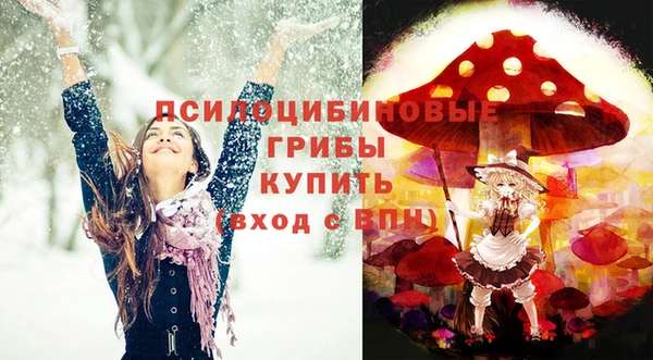ГАЛЛЮЦИНОГЕННЫЕ ГРИБЫ Сатка