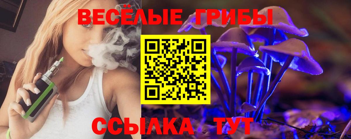 Галлюциногенные грибы ЛСД Кингисепп